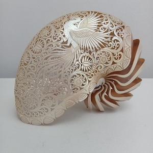 Carved pearl nautilus shell Phoenix sculpture,real and natural seashell polished and hand-carved,seashell art