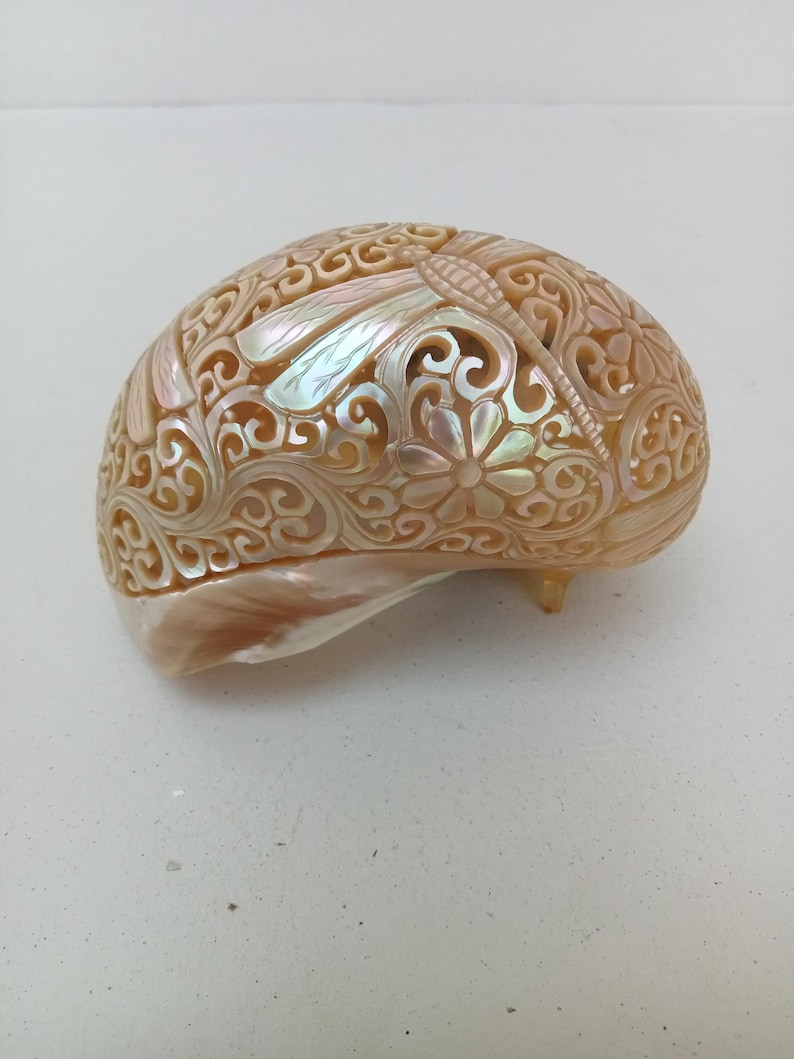 Natural Carved Turbo Conch Shell Dragonfly Designs