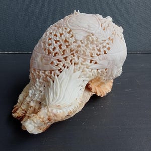 Handgeschnitzte Marlin Fisch Muschelschale: Natürliche Muschel Dekor