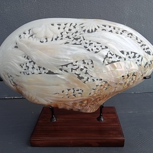 Large clam shell,carved pearl mussels clam shell whale family sculpture,natural sea shell,sea shell decor