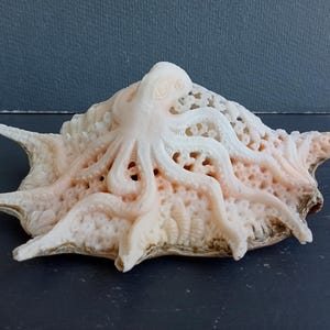 May include: A carved seashell sculpture featuring an octopus design. The sculpture is primarily off-white with subtle peach and brown accents. The octopus's tentacles extend over the shell's surface, and the shell has a textured, porous appearance.