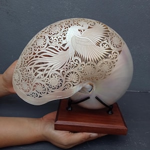 May include: A nautilus shell featuring intricate hand-carved details of a phoenix surrounded by floral scrollwork patterns. The shell is mounted on a dark brown wooden base with black metal supports, showcasing a smooth, pearlescent finish.