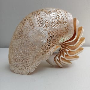 Geschnitzte Nautilus Shell Schmetterling natürliche Muschel Kunst