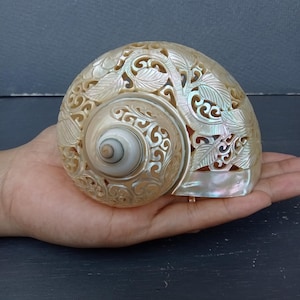 Carved Conch Shell Hummingbird Natural Sea Shell Art