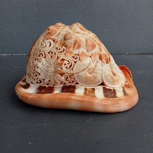 Hand Carved Conch Shell Lotus Sculpture - Natural Red Helmet Seashell