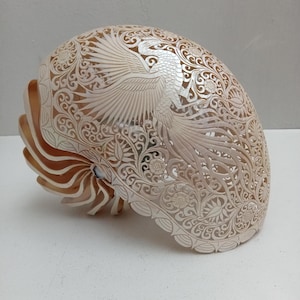 Gesneden nautilusschelp met feniksmotief, natuurlijke zeeschelpkunst