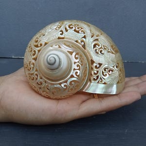 Hand Carved Turbo Shell Hummingbird: Natural Sea Shell Art