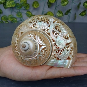 carved pearl turbo shell,hummingbird theme,natural sea shell,polished and hand carved