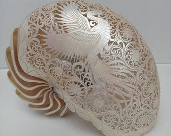 Carved Nautilus Shell Phoenix Natural Seashell Art