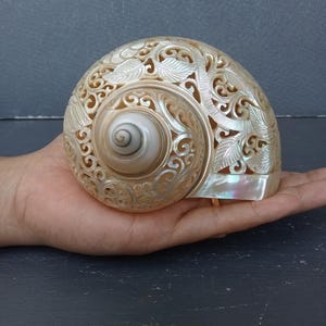 彫刻された巻貝のハチドリ 天然貝殻アート