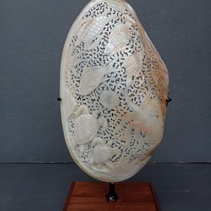 Könnte beinhalten: Eine weiße Perlmuttschale, die mit einem detaillierten Design von Fischen und Meereslebewesen verziert ist. Die Schale ist auf einem Holzsockel mit einem schwarzen Metallständer montiert.