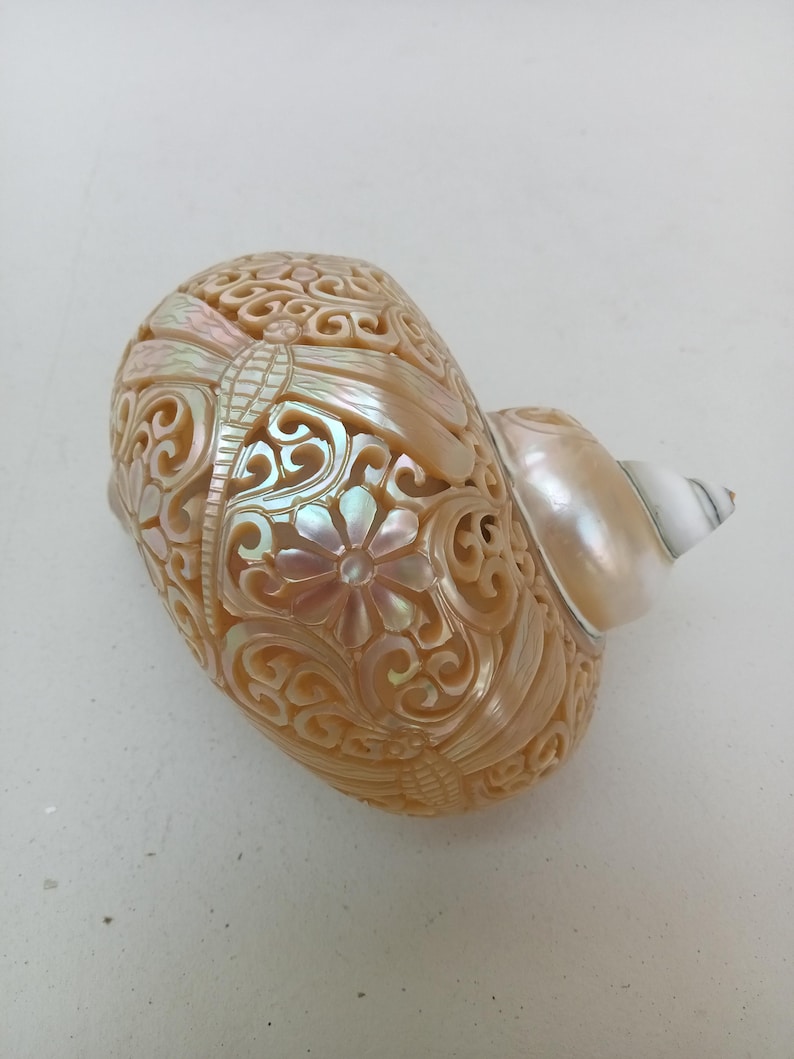 Natural Carved Turbo Conch Shell Dragonfly Designs