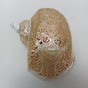 May include: A carved seashell with intricate floral and scrollwork patterns. The shell is a light beige color with iridescent highlights, and the tip is white and silver. The detailed carving creates a delicate, openwork design.