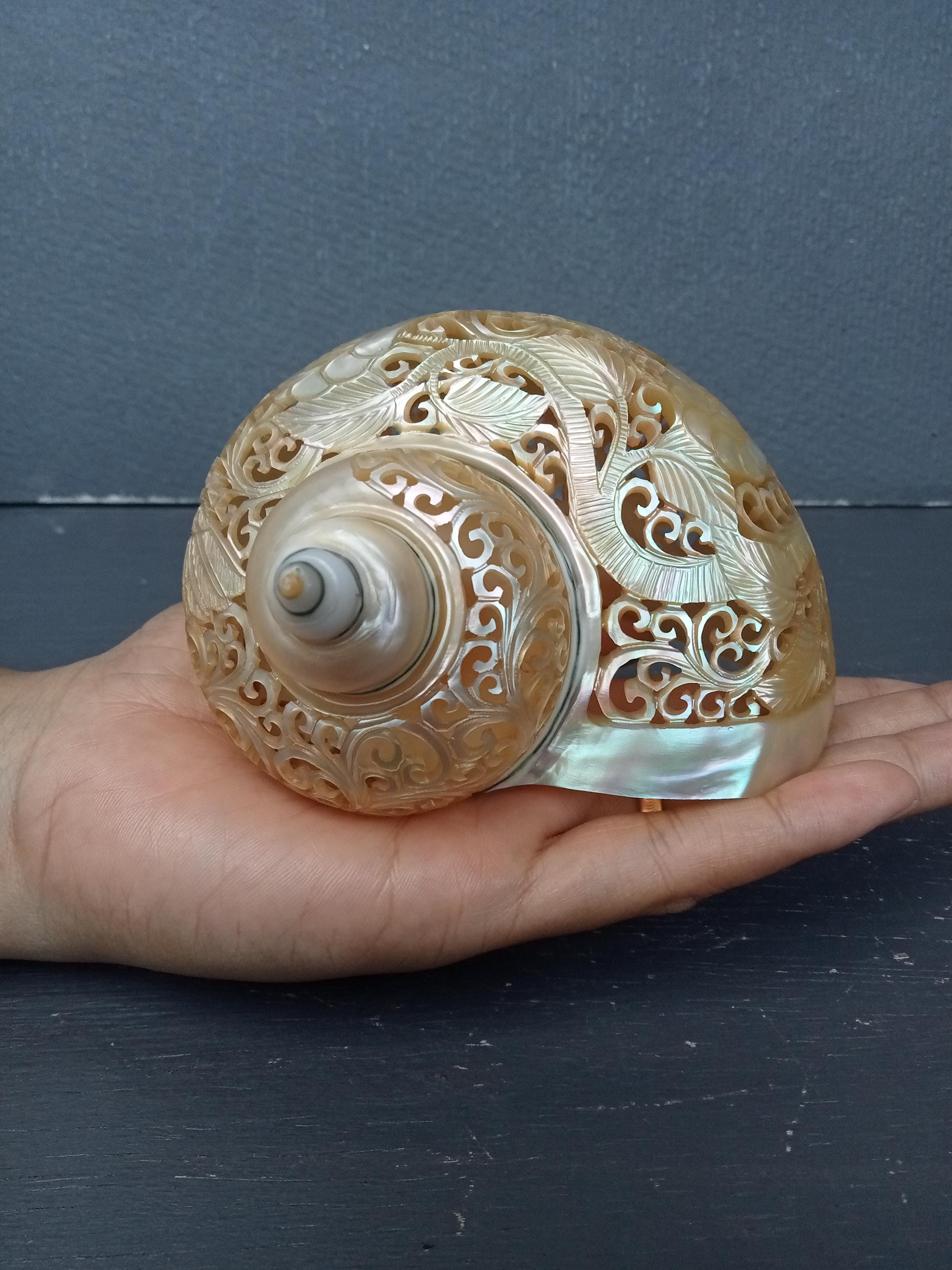 角笛 動物の角 装飾品 コーン型 【公式通販】
