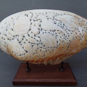 Könnte beinhalten: Eine oval geformte, cremefarbene Muschelschnitzerei mit detaillierten Reliefdarstellungen einer Meeresschildkröte, verschiedener Fische und Korallenriffelemente, montiert auf einem rechteckigen Sockel aus dunkelbraunem Holz.