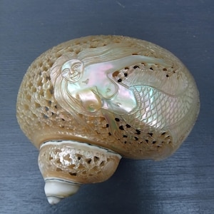 May include: A carved seashell with a mermaid design. The shell is iridescent and has a delicate, intricate pattern. The mermaid is carved in relief and has a flowing tail.