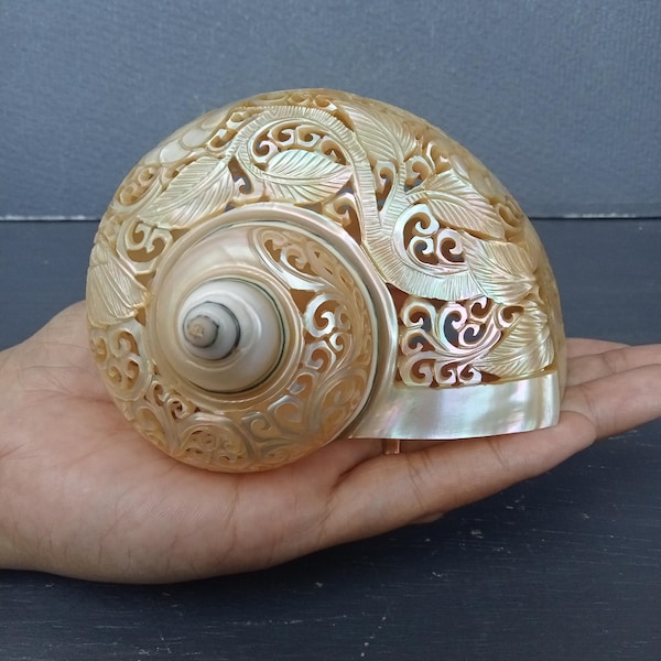 Colibrí tallado en concha marina natural