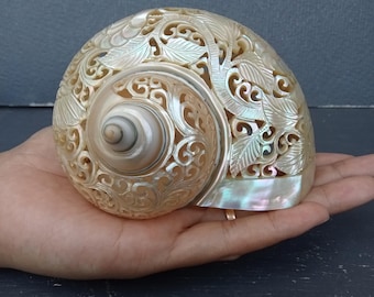 Carved Conch Shell Hummingbird Natural Sea Shell Art
