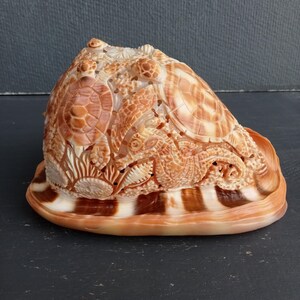 Hand Carved Conch Shell Sea Turtle Seahorse Natural Seashell