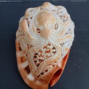 Handgeschnitzte Skulptur eines Seepferdchens aus rotem Helmmuschel-Oktopus: Natürliche Meeresschnecke