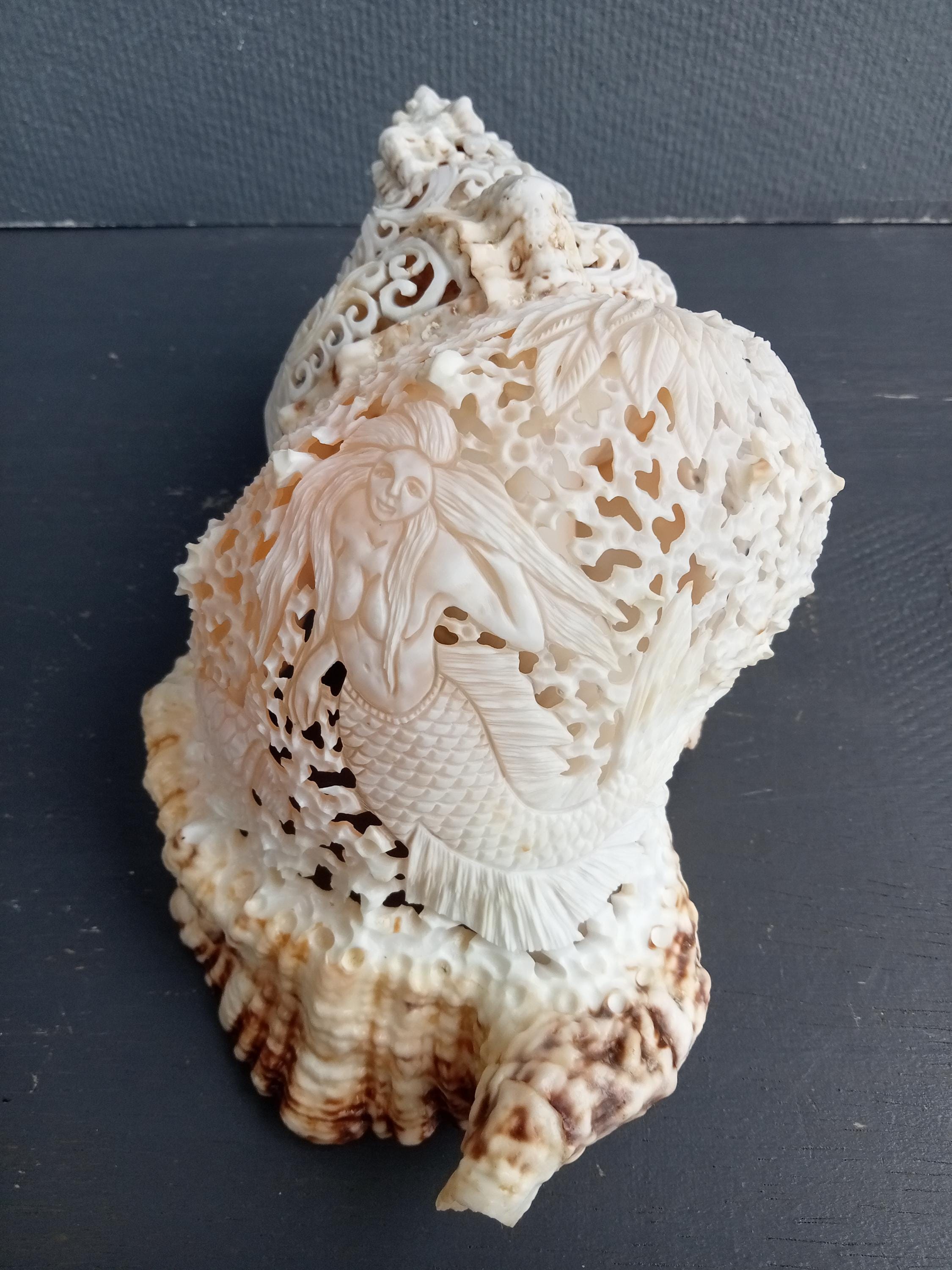 彫刻された巻き貝の人魚、天然貝殻、シェルアート - Etsy 日本