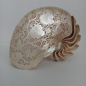 Hand Carved Nautilus Shell Rose: Ocean Art Decor