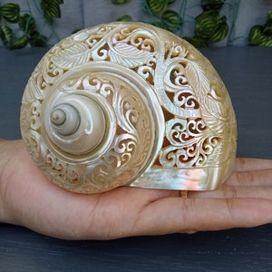 carved pearl turbo shell,hummingbird theme,natural sea shell,polished and hand carved