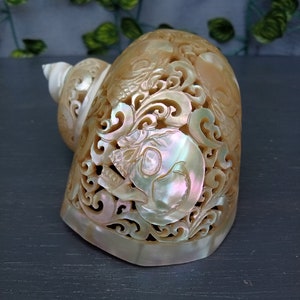 pearl turbo conch shell carving skull,real and natural seashell polished and carved