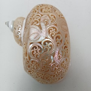 Arte de concha marina natural con diseño de flamenco y concha de caracol turbo tallada en perla