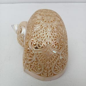 Hand Carved Turbo Snail Shell Mandala Design Natural Sea Shell