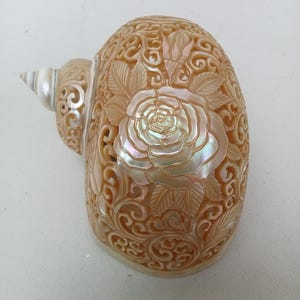 Hand Carved Pearl Turbo Snail Shell Rose: Natural Seashell Art Decor