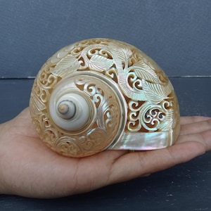 Carved Conch Shell Hummingbird Natural Sea Shell Art