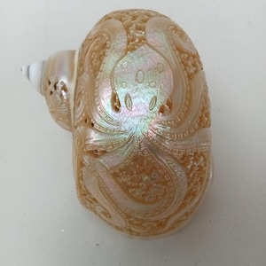 Hand Carved Octopus Shell Art: Polished Green Turbo Natural Seashell