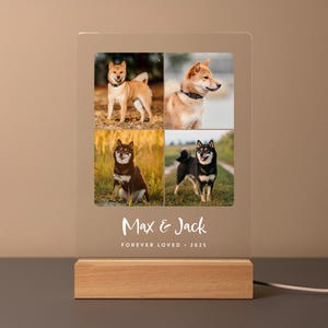 Custom LED pet memorial plaque with four photos of Shiba Inu dogs, Max & Jack, engraved with ‘Forever Loved • 2025’ on a wood base.