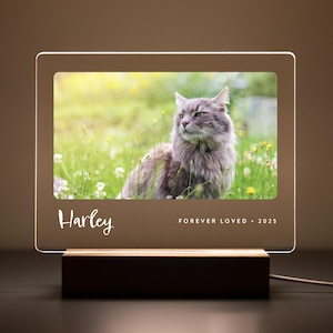Custom LED pet memorial plaque with a photo of a long-haired gray cat named Harley, engraved with ‘Forever Loved • 2025’ on a wood base.