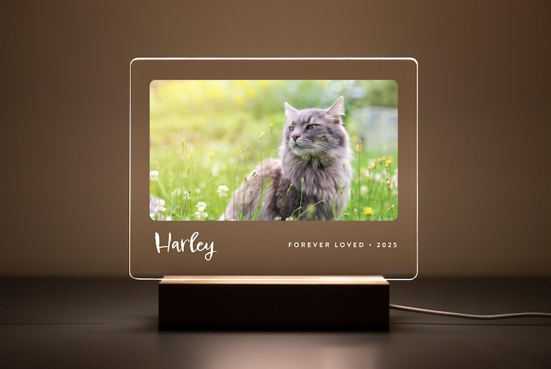Custom LED pet memorial plaque with a photo of a long-haired gray cat named Harley, engraved with ‘Forever Loved • 2025’ on a wood base.