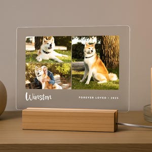 LED pet memorial plaque with three photos of a Shiba Inu named Winston, engraved with ‘Forever Loved • 2025’ on wood base.