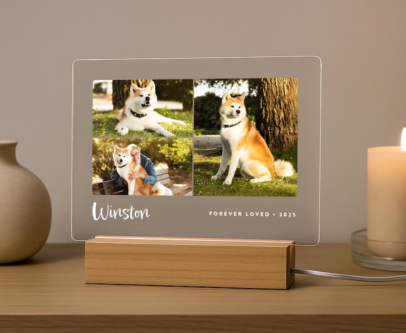 LED pet memorial plaque with three photos of a Shiba Inu named Winston, engraved with ‘Forever Loved • 2025’ on wood base.