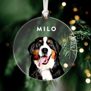 Personalized Pet Ornament • Custom Dog Ornament • Gifts for Pet Lovers • Christmas Ornament • Christmas Gifts • PPO02