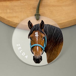A round acrylic ornament with a cartoonish illustration of a horse. The name positioned along the side in a white font. The frosted finish and green cord give it an elegant look.