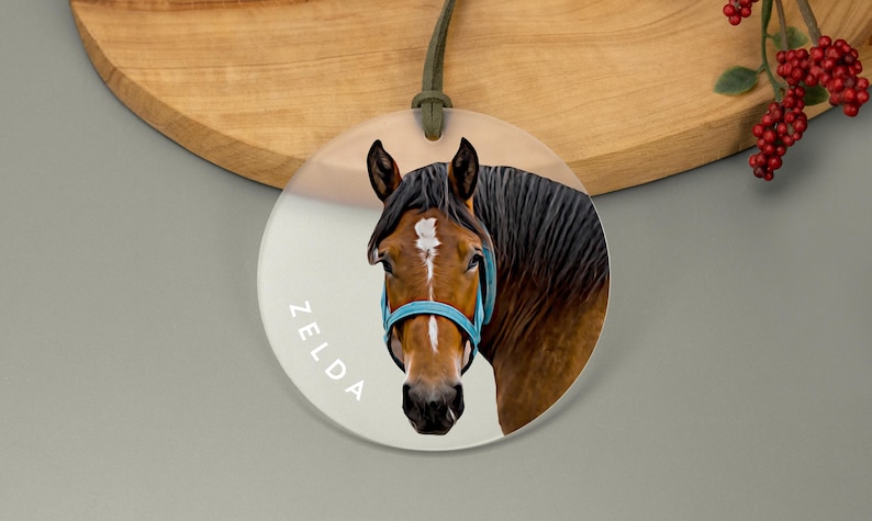 A round acrylic ornament with a cartoonish illustration of a horse. The name positioned along the side in a white font. The frosted finish and green cord give it an elegant look.