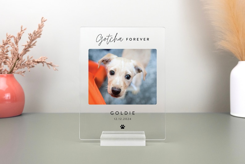 Custom pet adoption acrylic plaque celebrating a pet’s Gotcha Day. Designed with a sleek, modern look, it includes a sturdy acrylic base for tabletop display.