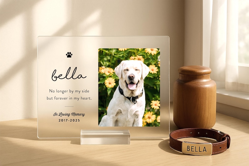 Custom acrylic pet memorial plaque with Labrador photo and engraved collar – personalized remembrance gift for dog loss.