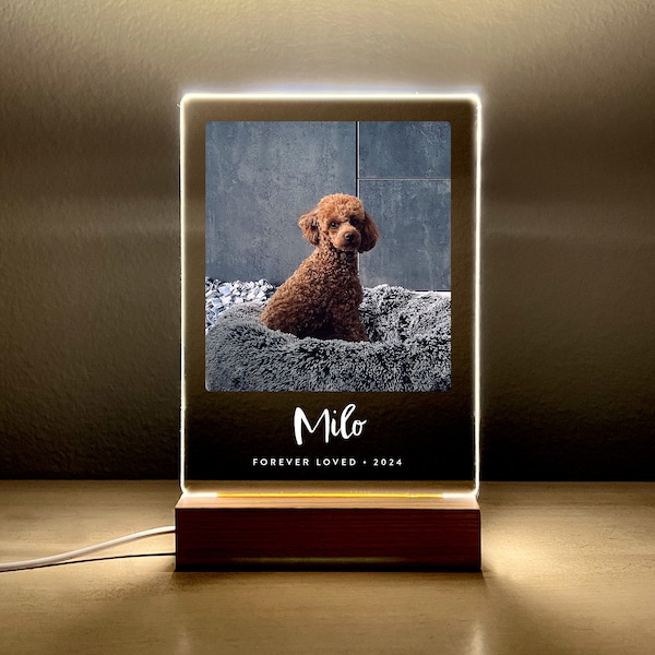 Light Up Pet Memorial Gift • LED Pet Frame • Pet Memorial Keepsake • Pet Bereavement Gift • Pet Loss Sympathy Gift • PMP06