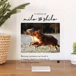 Pet Memorial Gift, Pet Memorial Keepsake, Pet Bereavement Gift, Dog Cat Loss Sympathy Gift, PMP01 image 4