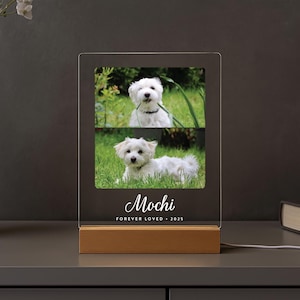 Personalized Pet Memorial LED Night Light — Custom Dog or Cat Photo Sympathy Gift image 3
