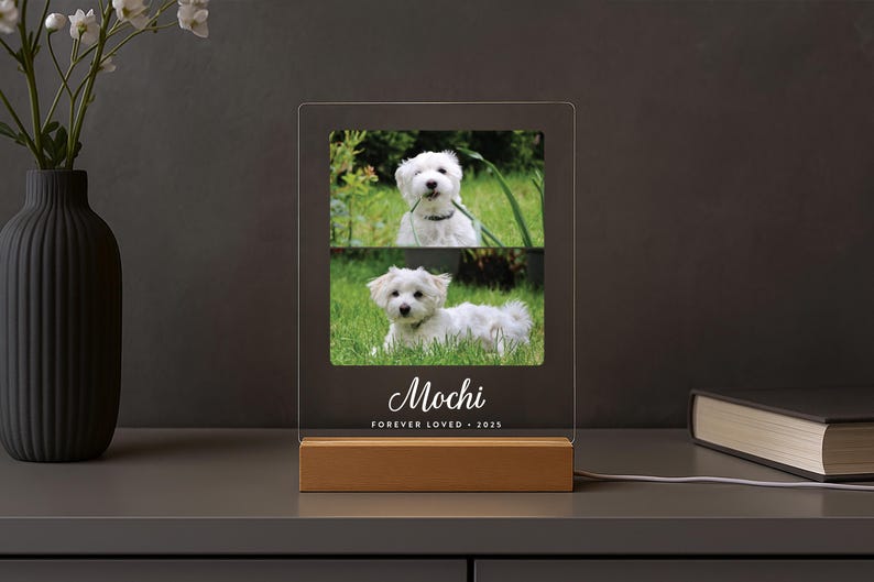 Personalized Pet Memorial LED Night Light — Custom Dog or Cat Photo Sympathy Gift image 3