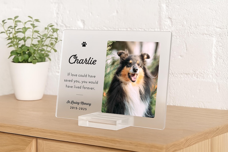 Custom dog memorial plaque with photo – Personalized acrylic remembrance gift for Sheltie or Collie dog