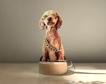 Gepersonaliseerde ledlamp huisdierfoto: aangepaste acrylsculptuur