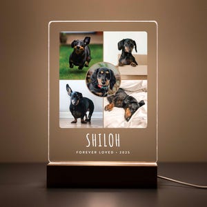 LED pet memorial plaque with five photos of a black and tan Dachshund named Shiloh, engraved with ‘Forever Loved • 2025’ on a wooden base.